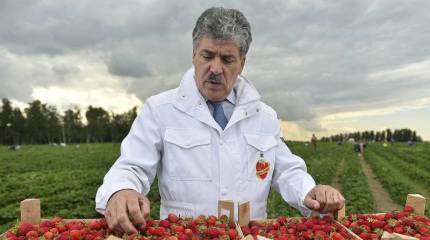 Ехидные комментарии. СМИ дружно хоронят Грудинина, на электорат никто не смотрит