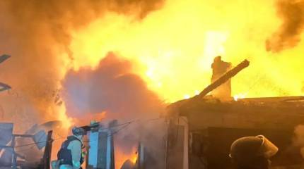 Российские войска обрушили огненный шторм на противника в районе Доброполья