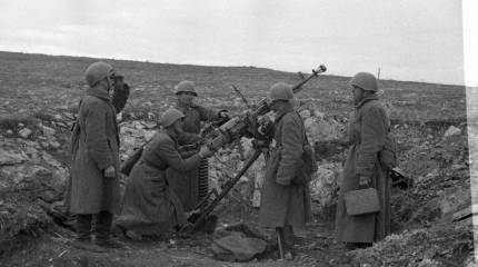 «Севастополь – крепость слабая. Взять маршем, коротким ударом»