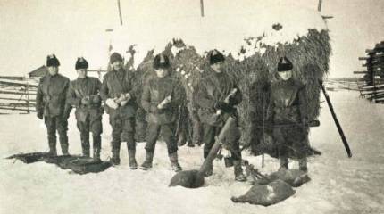 «Дан приказ ему на Север». Шенкурская операция 1919 г.