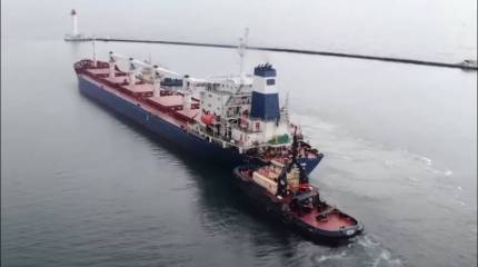 Минобороны Турции провело осмотр первого сухогруза с украинским зерном