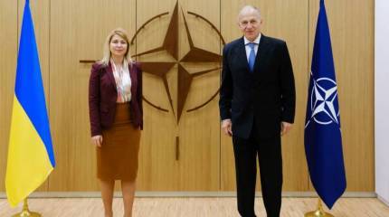 Заместитель генсека НАТО: Украине не обещали скорого вступления в альянс