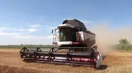 Пять стран Восточной Европы попросили Евросоюз продлить запрет на ввоз украинского зерна