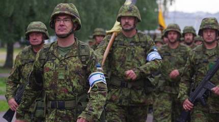 Эстония научит Украину правильно обороняться