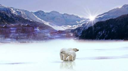 Арктический совет решил возобновить работу, но без России