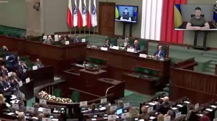 Движение «Другая Украина» призвало ОБСЕ созвать заседание по поводу узурпации власти Зеленским