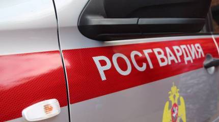 Махинации с выделенными средствами привели к возбуждению уголовного дела в отношении семи высокопоставленных офицеров Росгвардии