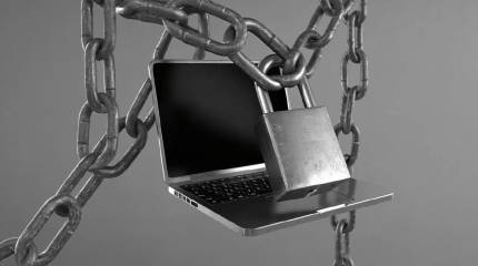 Мизулина: Каждый второй ребёнок хочет уехать из РФ из-за блокировок в Интернете