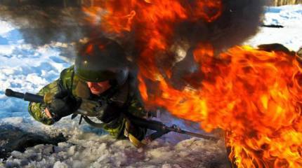 Войска оперативной, полицейской и охранной функций