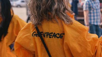 Свою версию событий в Нёноксе озвучил представитель Greenpeace в интервью СМИ Украины