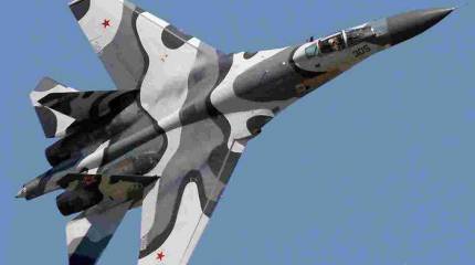 Крылатый «беглец» облетел пол-Европы