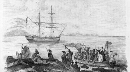 Уту – кровавая месть маори