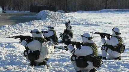 Экс-глава МИД Дании: Россия усиливает армию, так как та показала себя посредственно в войне с Грузией