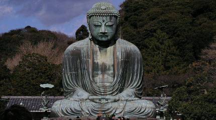 Самураи и сохеи