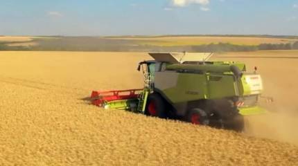 Венгрия вводит собственные санкции против украинской сельхозпродукции