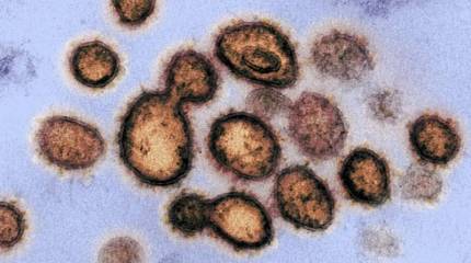 Кто и зачем мог создать Covid-19