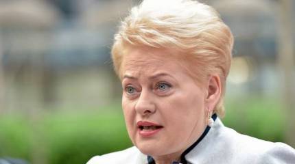 Кустарники вырубили, мост построили – для российской «оккупации» созданы все условия