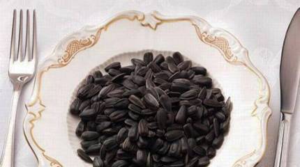 Русский синдром, или Откуда что пошло  Латышские писатели о русском человеке