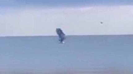 Американское издание подтвердило причастность Киева к попытке атаки на Севастополь