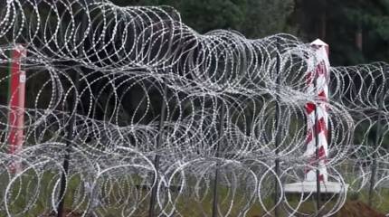 «Для защиты от Путина и Лукашенко»: Польский премьер обосновал строительство забора на границе с Белоруссией