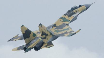 Су-35 vs F-35. "Дядя избивает дубинкой ребенка"