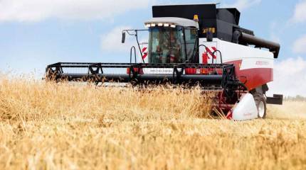 Вести с полей, или О продовольственной безопасности России 2017