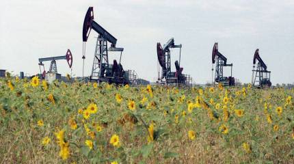 Экс-глава НБУ: радость украинцев по поводу подешевевшей нефти говорит о незнании экономических законов