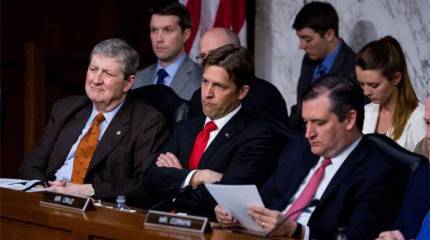 Сенатор США: Я потребовал от русских властей, чтобы те убрались из Крыма