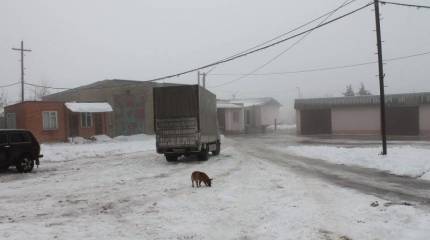 В Луганске всё спокойно. Отчёт № 12