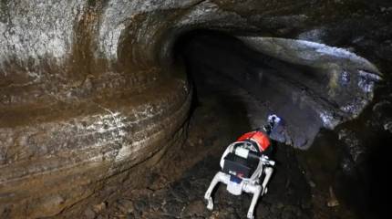 «Белка» и «Стрелка» XXI века: Китай собирается исследовать Луну робособаками