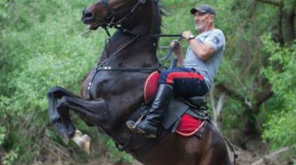 Артёмыч. Парящий в седле