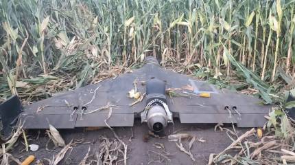 «Атака дронов была бы ошибкой»: глава Финляндии не ожидает БПЛА РФ в стране