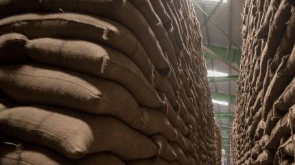 Ситуация с урожаем зерновых в Индии может привести к продовольственному кризису