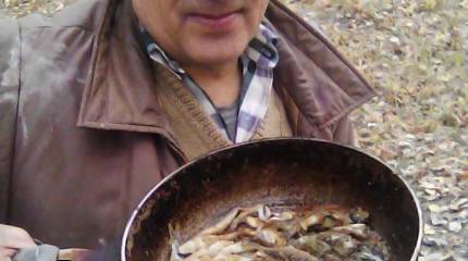 Лекарство рыцаря и яство короля