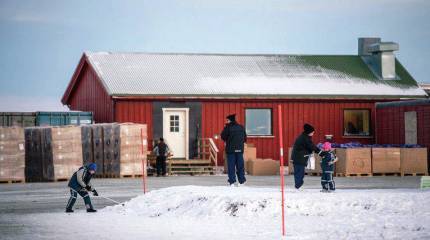 Норвежские власти могут депортировать мигрантов в РФ самолётом