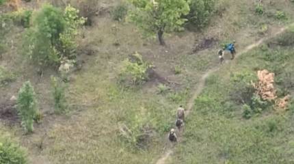 Минобороны России сообщает об уничтожении элитного подразделения украинской армии на территории ДНР