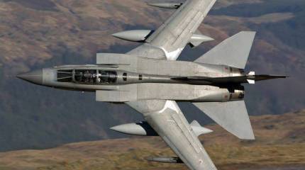 Немцы, они хорошие. Только склонны к суициду