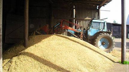 ФСБ и ФНС проводят проверку крупных агрохолдингов