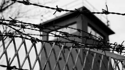 Мария Захарова высмеяла слова премьера Латвии о железном занавесе