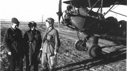 История «Дунькиного» полка