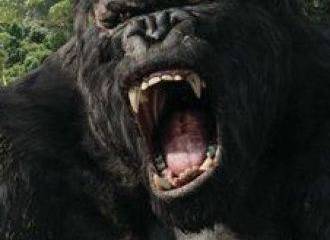 Проблема демократии и эпиляции в контексте десепаратизации