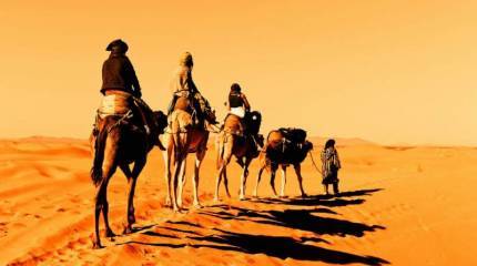 Против шелка