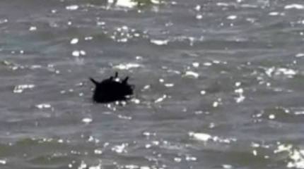 Боевые пловцы турецких ВМС нейтрализовали очередную украинскую морскую мину, обнаруженную в Чёрном море
