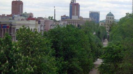 В Новороссии цветут каштаны