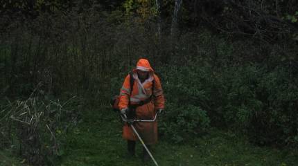 С 2027-го МВД планирует запустить эксперимент по набору иностранных работников