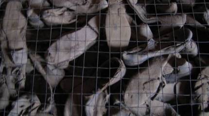 Украина: в шаге от большой крови