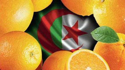 Апельсины давят на власть