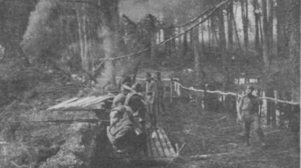 На пути химического урагана. Часть 3. Гренадеры под ударом