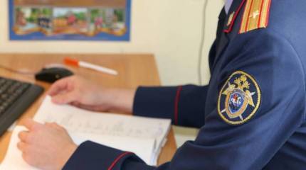 Правоохранители задержали подозреваемую в покушении на бывшего начальника таможни ЛНР