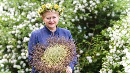 Директивы для Дали, или Это ещё цветочки!